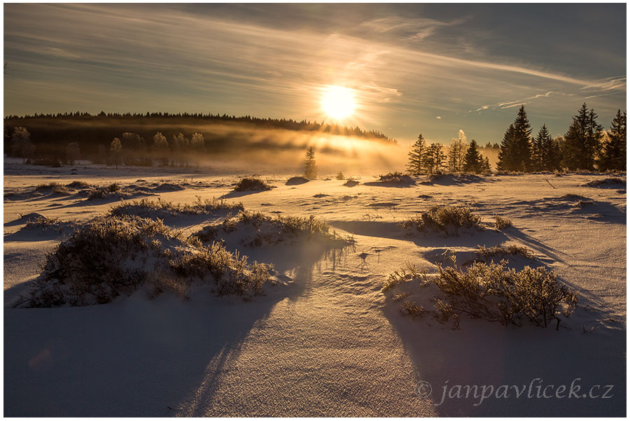 Knížecí pláně , 1021m, Šumava