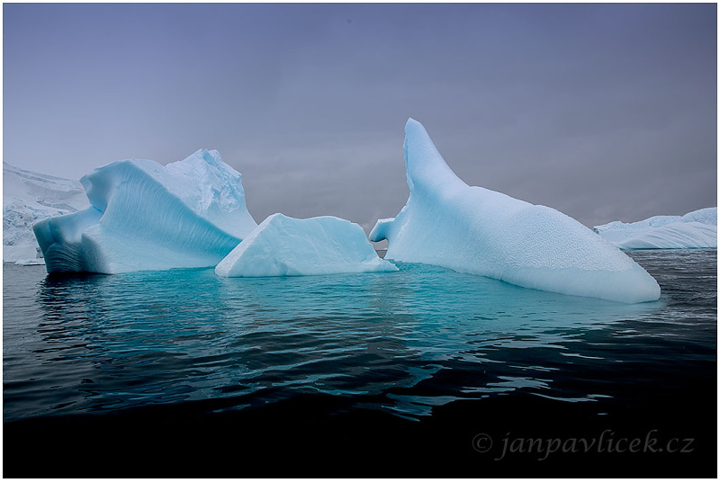 Ledová velryba, Ostrov Cuverville Island,  Antarktida