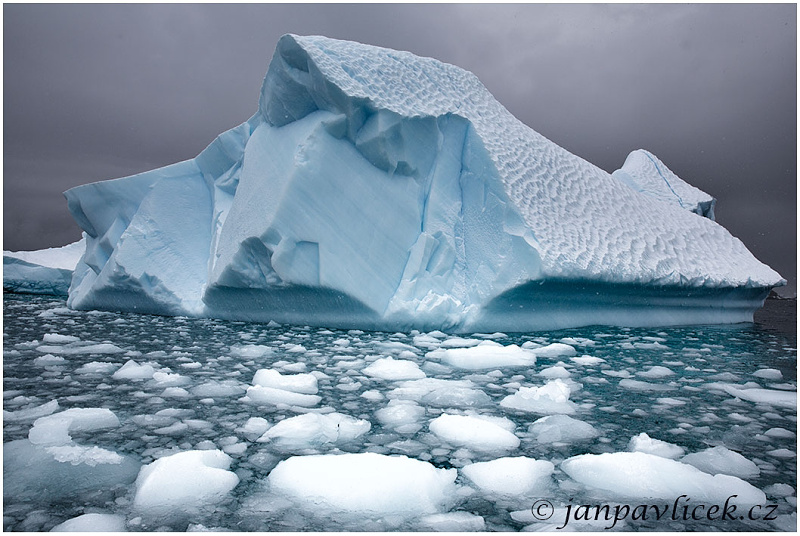 Ledovec , ostrov Cuverville Island,  Antarktida