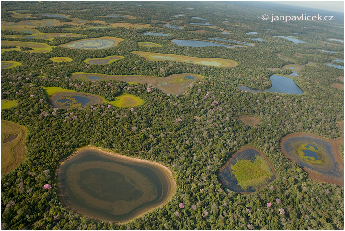 Pantanal 6 týdnů po  období dešťů