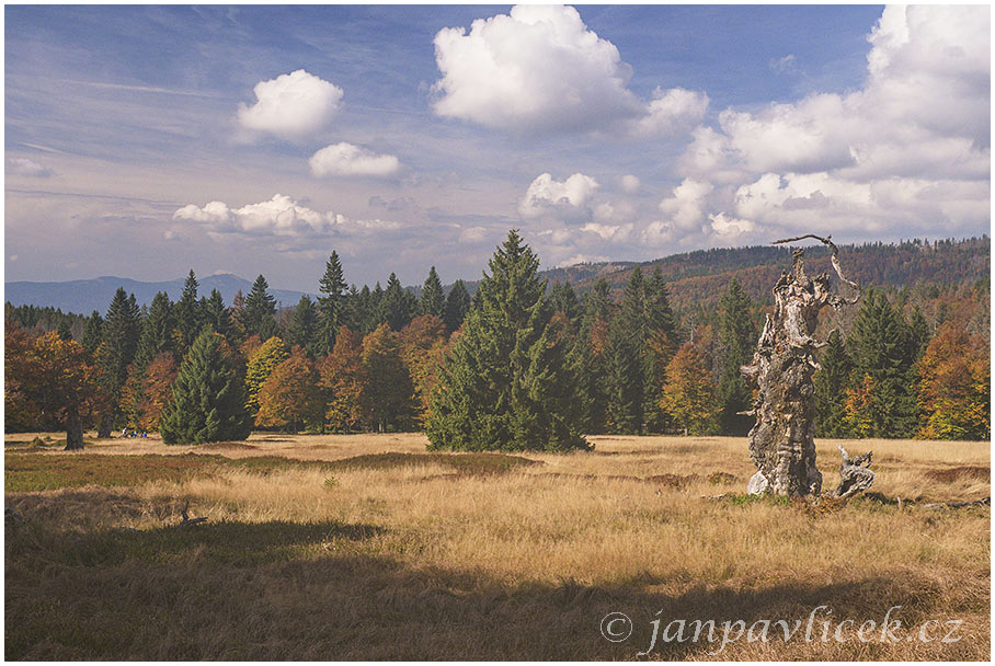 Pastviny Hochschachten (1165 m) , v pozadí Velký Javor (1 456 m)