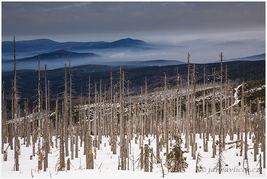 Plechý (1378 m): Stožec (1065m) vlevo…na horizontu pak vlevo Boubín (1362m) , vpravo Bobík (1264m)