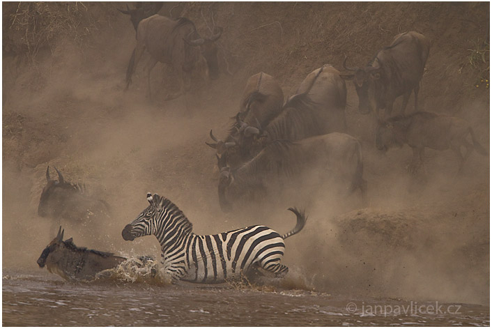 Přechod řeky Mara