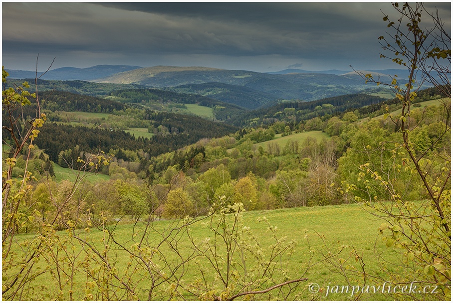 Údolí Zlateho potoka, Šumava