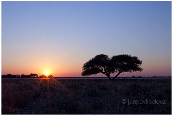 Východ slunce na Kalahari