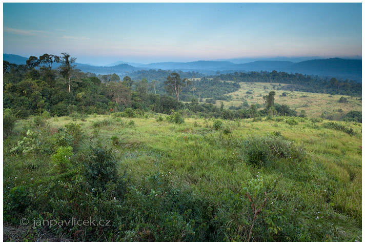 1.GRASSLAND PANG SIDA