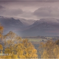 Cairngorms NP | fotografie