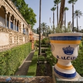 Galeria de Grutesco a zahrady Alcázaru (královský palác) v... | fotografie