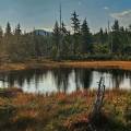 HRANIČNÍ SLAŤ , V POZADÍ LUZNÝ (1373 m) | fotografie