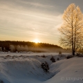 Knížecí pláně , 1021m, Šumava | fotografie