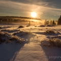 Knížecí pláně , 1021m, Šumava | fotografie