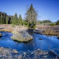 Meandr  Křemelné | fotografie