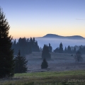 „Modrá hodinka“ - Filipova huť, Velký Roklan (1453 m)... | fotografie