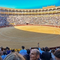 Plaza de Toros Las Ventas - Madrid | fotografie