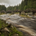 Rechle, hradlový most u Modravy | fotografie