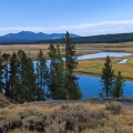 Řeka Yellowstone v údolí Hayden | fotografie