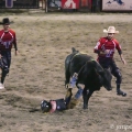 RODEO V JACKSON  HOLE | fotografie