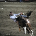 RODEO V JACKSON  HOLE | fotografie