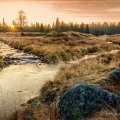 Roklansky potok (též Mlýnský potok), soutok s Rokytkou | fotografie