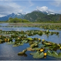 Silver Salmon Lake,  Aljaška | fotografie