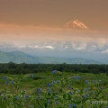 Sopka  Korjakskaja (3462 m) | fotografie