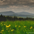 Velký Bobík, 1264 m (vlevo)  a  Boubín , 1362 m (vpravo)   od... | fotografie