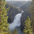 Velký kaňon řeky Yellowstone - Horní vodopád | fotografie