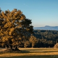 Velký Roklan (1453 m), Malý Roklan (1399 m) od Zhůří | fotografie