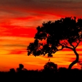 Západ slunce v Pantanalu | fotografie